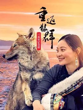 风起南街